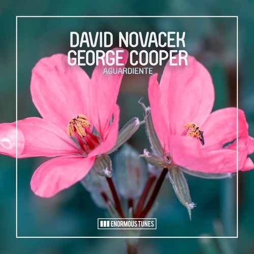 David Novacek & George Cooper - Aguardiente [ETR615]